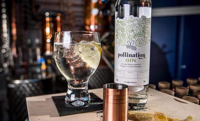 A bottle of Pollination gin and a glass of gin and tonic